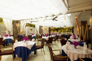 Central Park Terme
