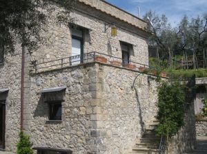 Tenuta Montecorbo