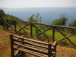 Tenuta Montecorbo