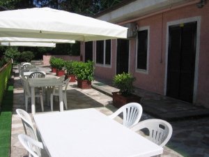 Wiki Hostel & Greenvillage