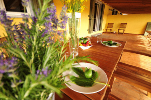 Agriturismo Podere L'Agave