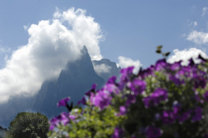 Abinea Dolomiti Romantic & SPA Hotel