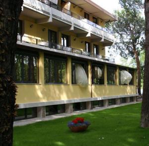 Hotel Nedy