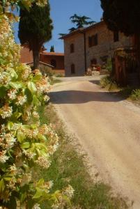 Locanda Viani