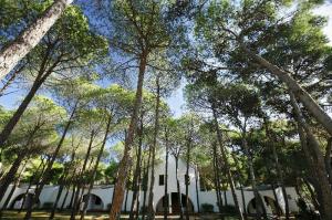 Hotel Mare Pineta