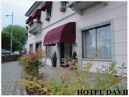 Hotel David