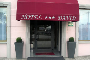 Hotel David