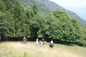 Scuderia Castello