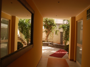 Kassiopea