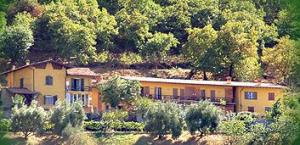 Agriturismo Forest