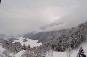Hotel Belvedere