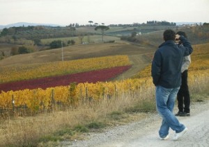 Agriturismo Villa La Morina