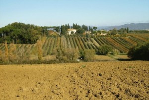 Agriturismo Villa La Morina