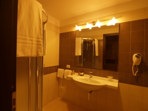 Hotel Corte Business