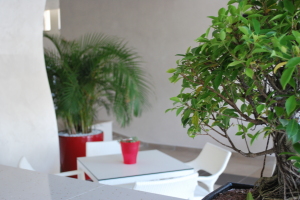 Colonna Residence