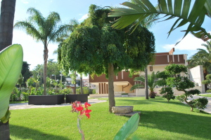 Colonna Residence