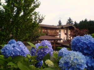 Hotel Natisone