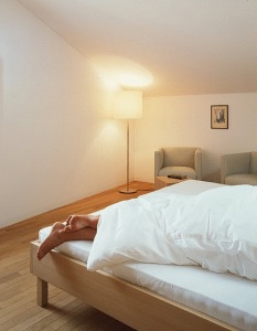 Hotel Gasthof Gr??ner Baum