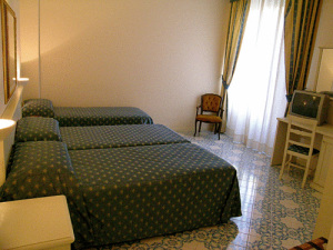 Alexander Hotel Palme