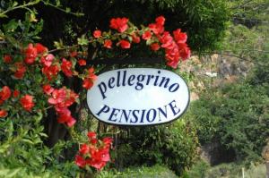Hotel Pellegrino