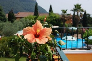 Hotel Villa Madrina