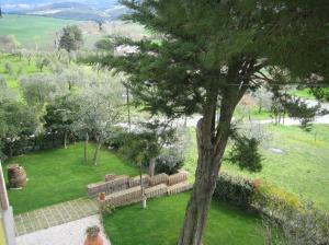 Tenuta La Lupa