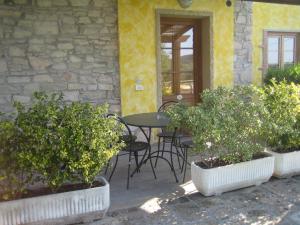 Tenuta La Lupa