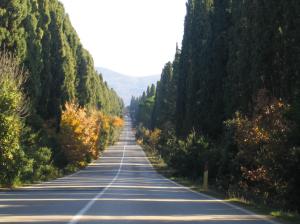 Tenuta La Lupa