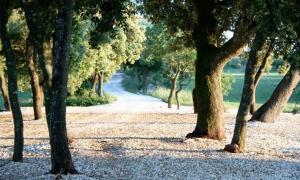 Masseria Iazzo Scagno