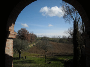 Il Macchione