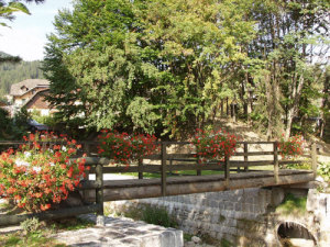 Hotel Garni St. Hubertus