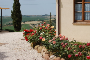 Agriturismo Poggio Tobruk