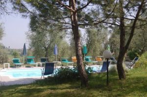 La Spiga D'Oro