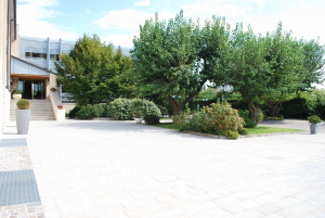 Hotel Ristorante Primavera