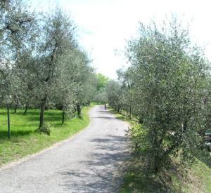 Residence Parco Del Garda