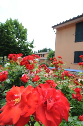 Residence Mugello Resort