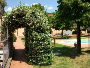 Residence Mugello Resort