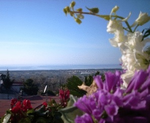 Hotel Casafort