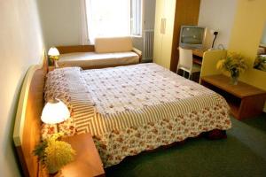 Hotel Alpino