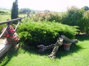 Fattoria Le Giare Agriturismo