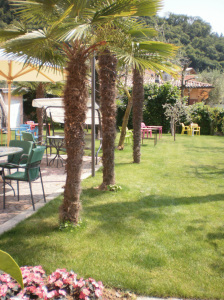 Hotel Eden
