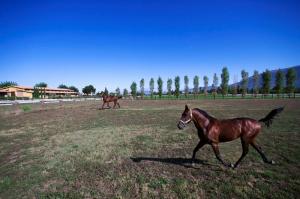 Il Baio Relais & Natural Spa