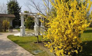 Residence Villa Maria
