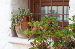 Le Alcove - Luxury Hotel nei Trulli