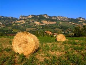 Agriturismo Poggio Duca