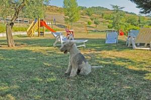 Agriturismo Poggio Duca