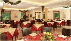 Hotel Ristorante Costa
