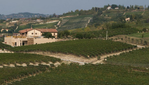 Amalia Cascina in Langa