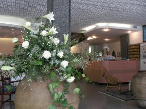 Hotel Pinocchio