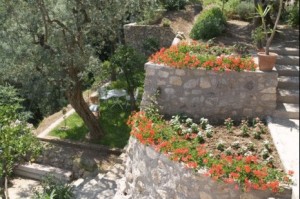 Casarufolo Paradise